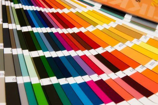 colour chards