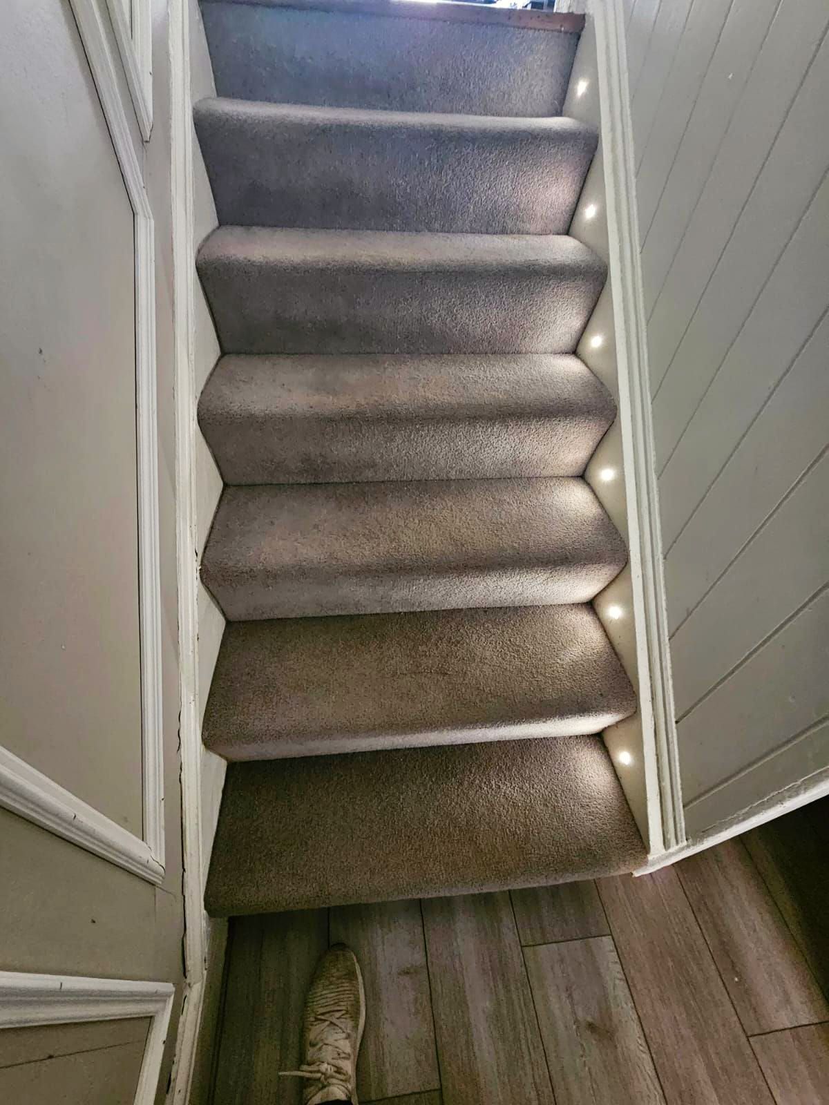 A staircase with a carpeted staircase and lights on the steps.
