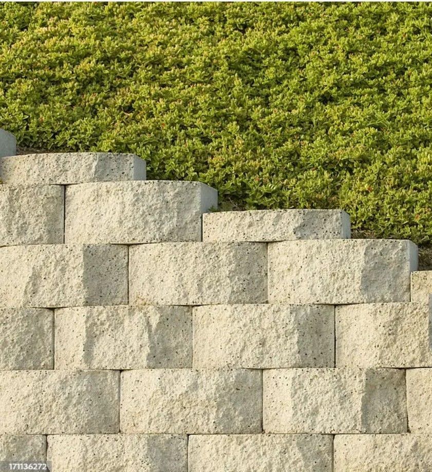 a stone wall with a green bush in the background