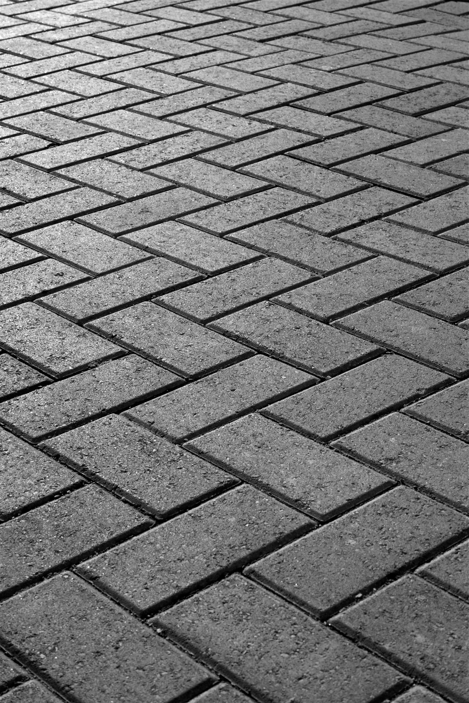 a brick walkway with a geometric pattern is surrounded by grass .