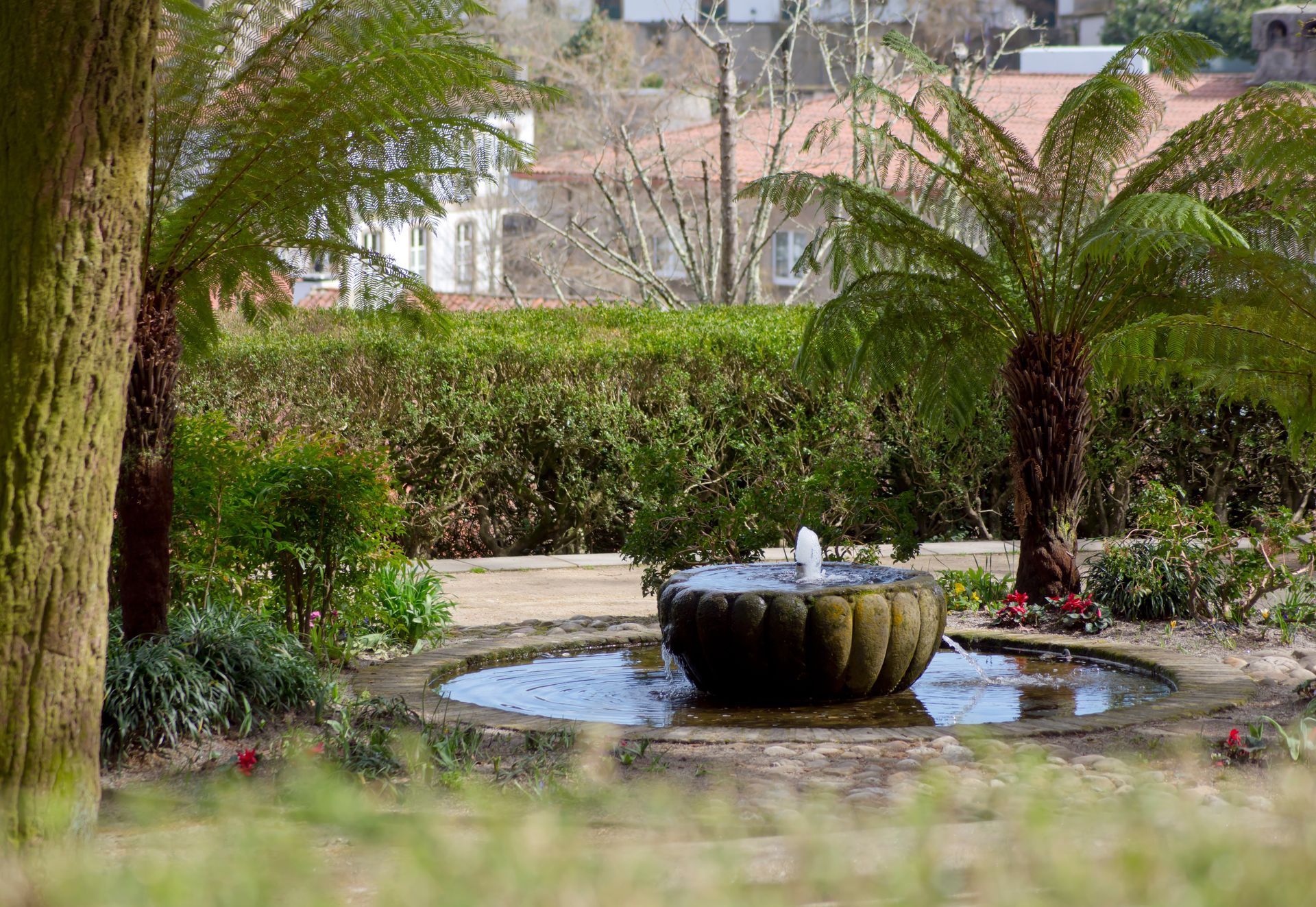 A fountain in a garden surrounded by palm trees and bushes.