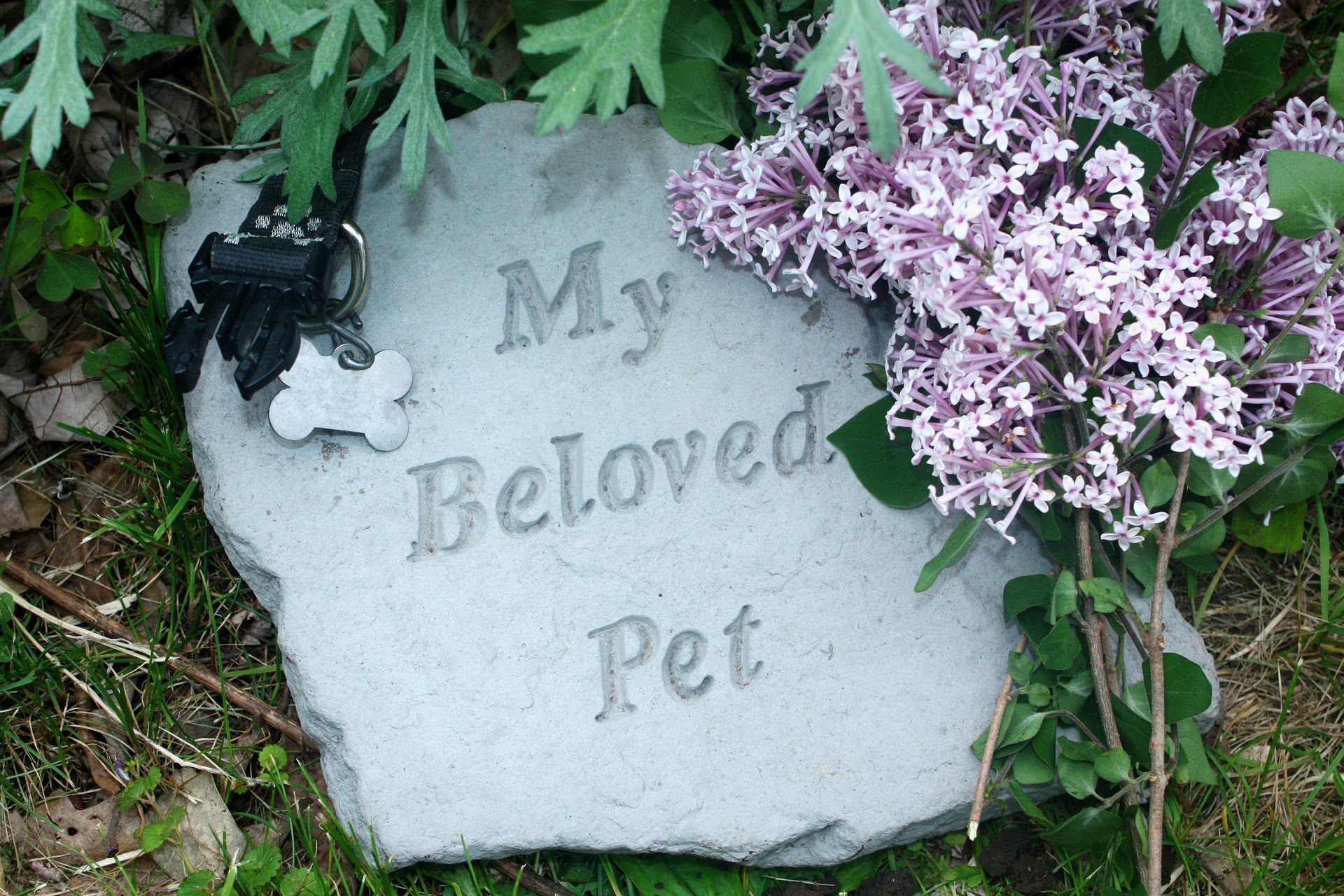 Pet Grave