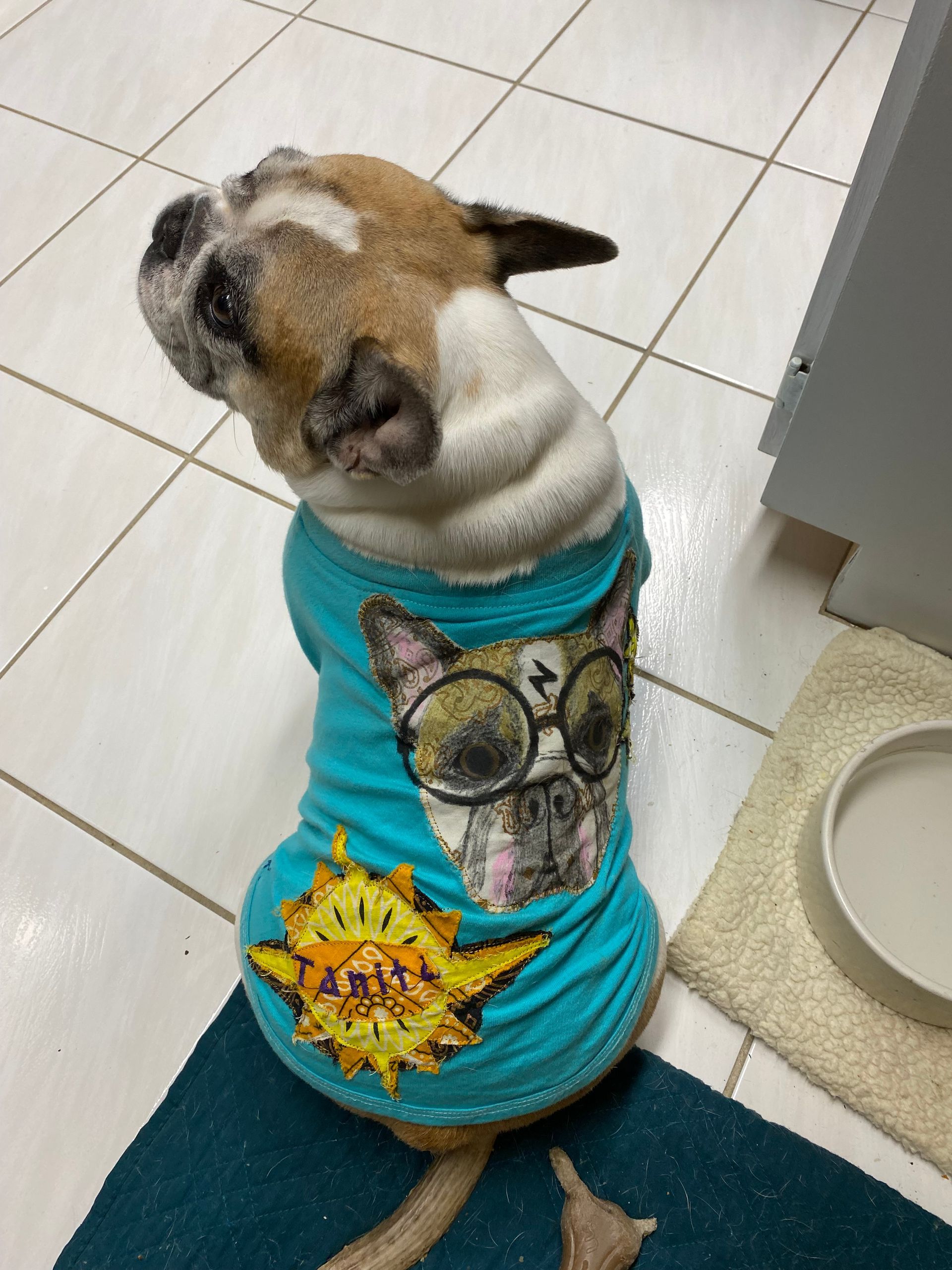 Dog and owner
