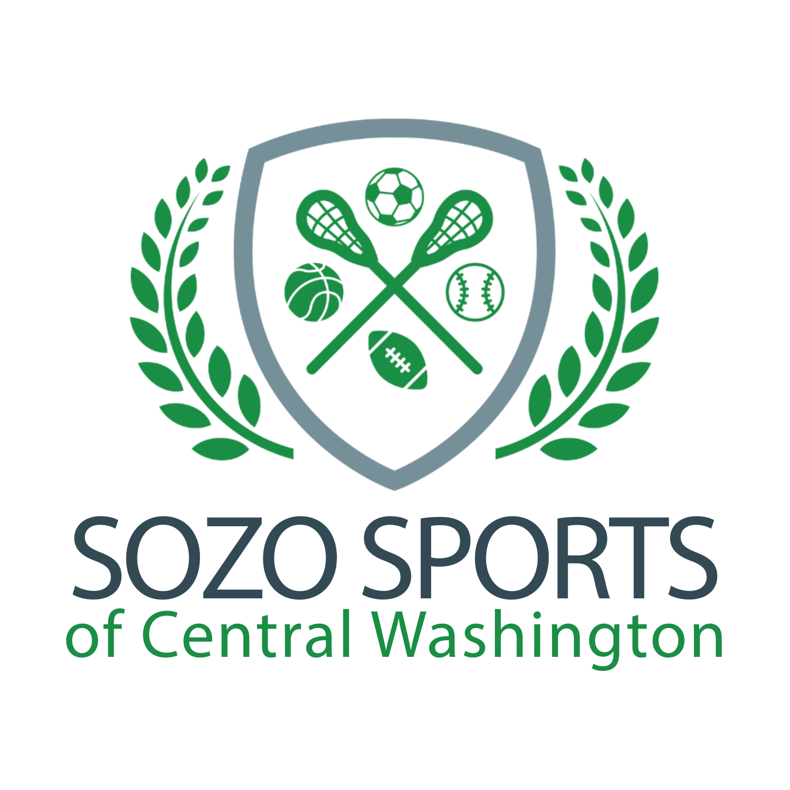A logo for sozo sports of central washington