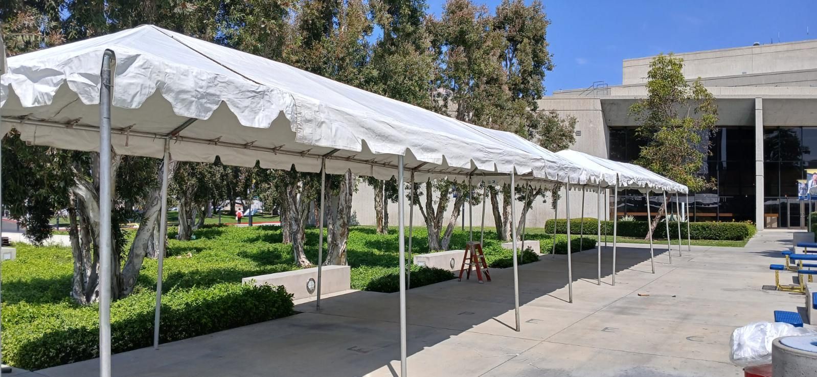 White tent canopy covering a paved walkway beside green hedges and trees outside a building