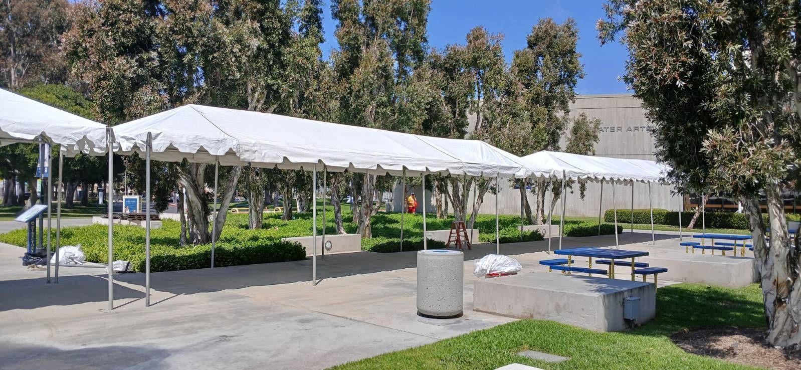 White canopy tents over picnic tables in a sunny park with trees and paved walkway
