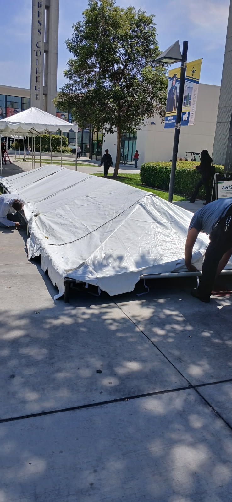 People moving a large white tarp or sheet across a sunny sidewalk near a tree and buildings