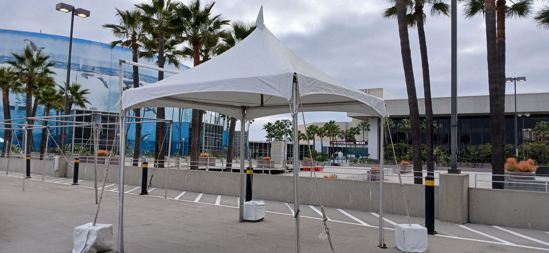 Empty outdoor plaza with a white canopy tent, palm trees, and a modern building in the background