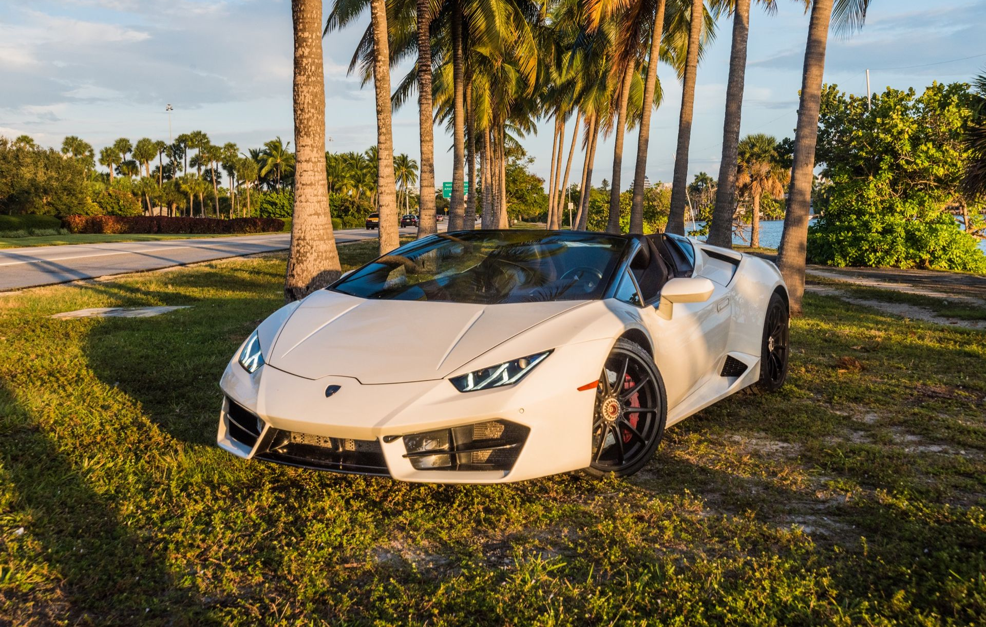 White Lamborghini convertible parked on grass under palm trees.