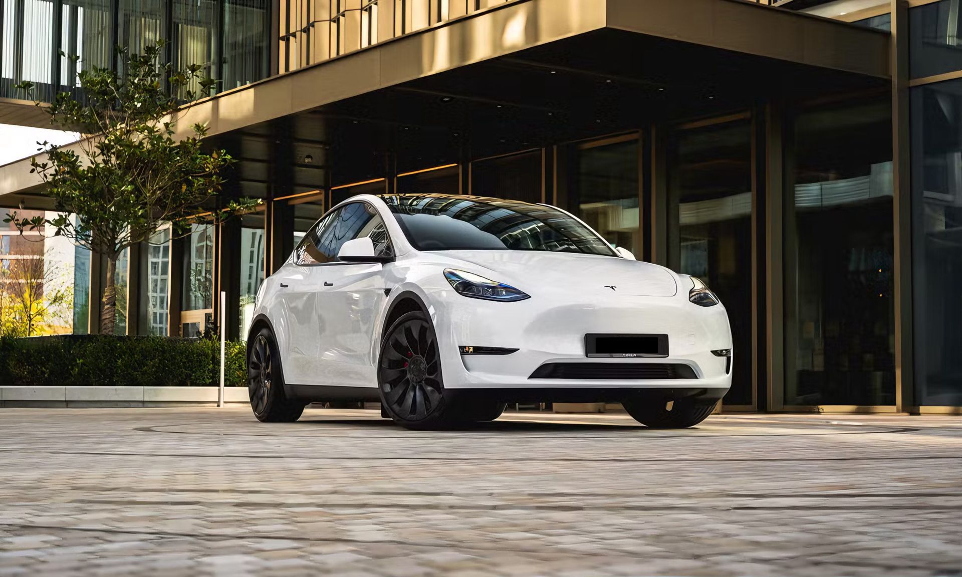 White Tesla SUV parked outside a modern glass-front building