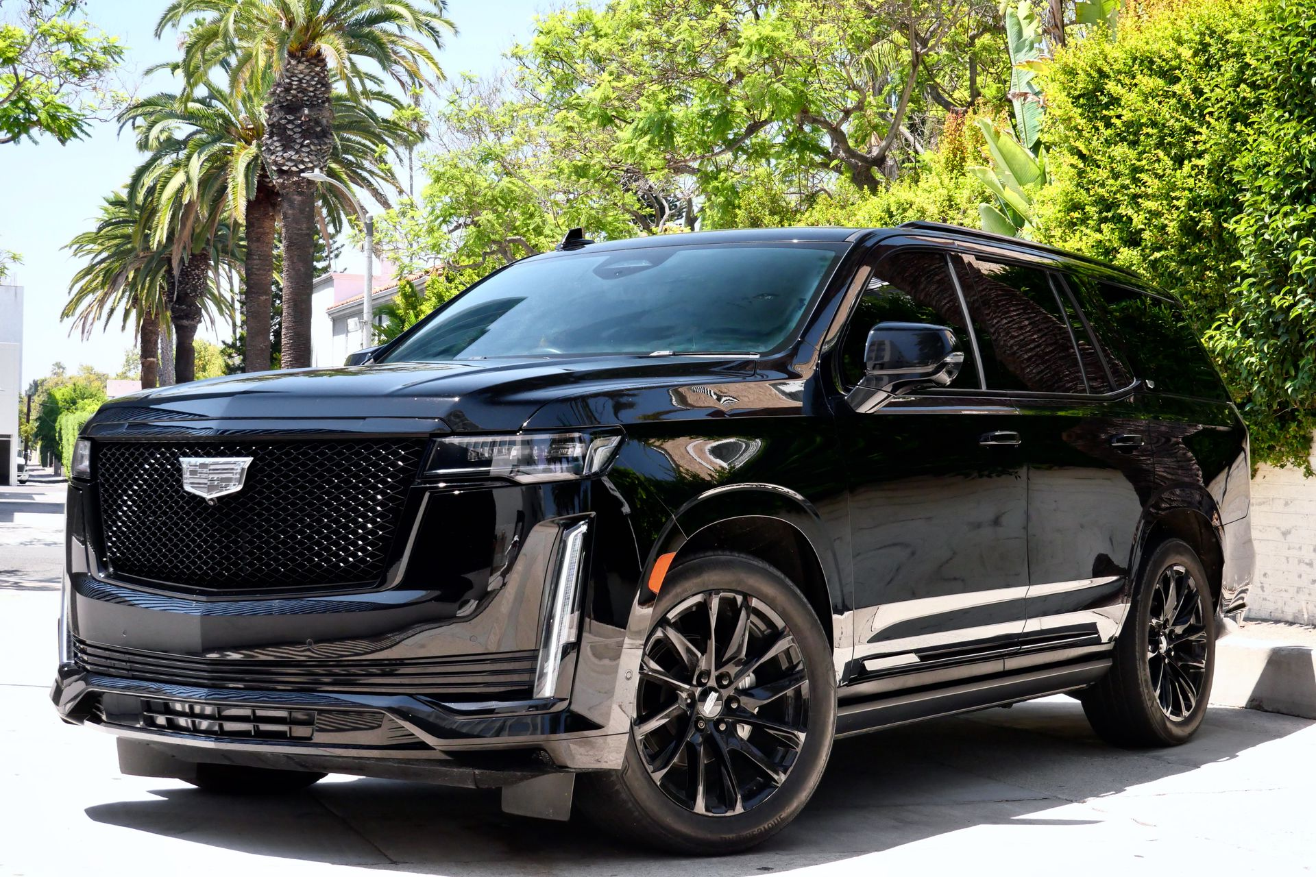 Black Cadillac Escalade parked on a street with palm trees and a hedge.