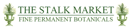 The Stalk Market