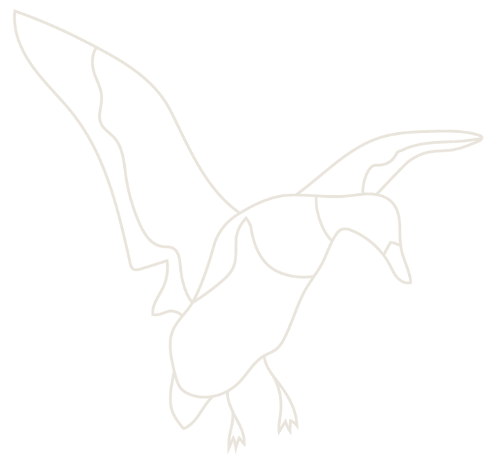 Line drawing of a bird in flight with wings spread, outlined in pale beige on a white background