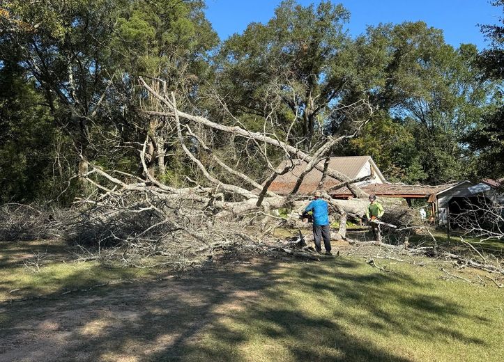 Person in blue inspects a fallen tree across a yard near a house after a storm.