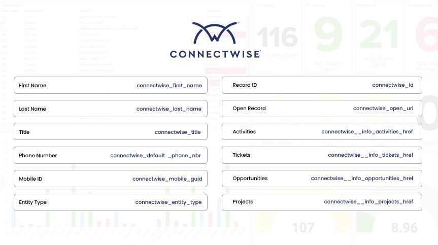 Connectwise Parameters