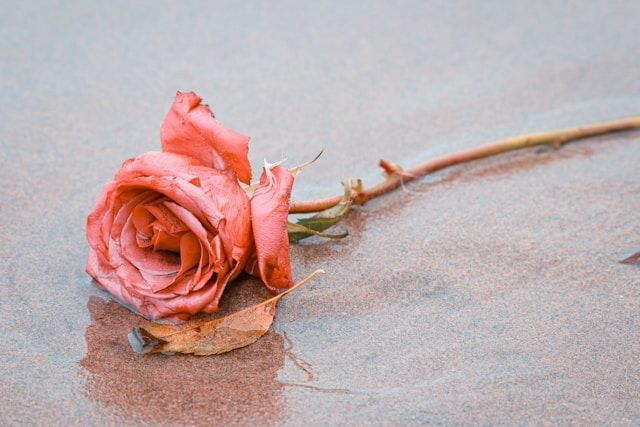 cremation services Westminster, MD