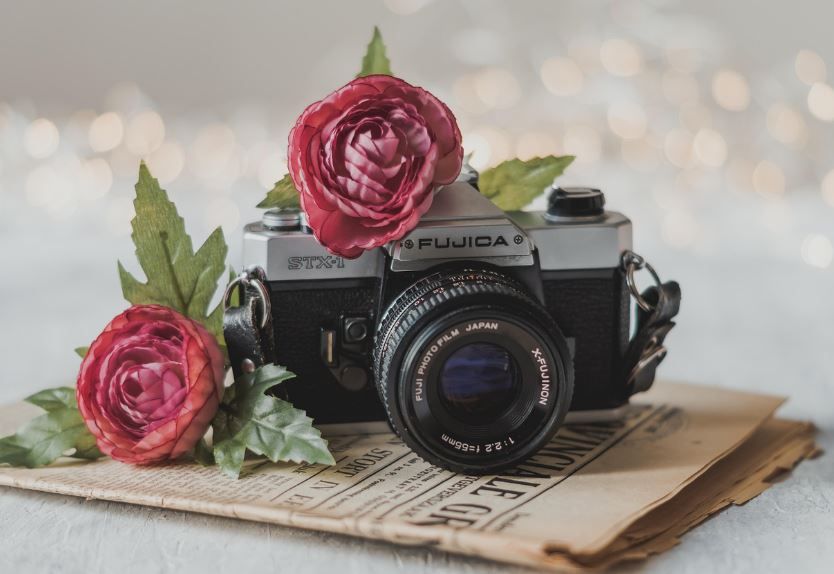 Pink blooms beside a classic film camera on paper, cremation services Taneytown, MD