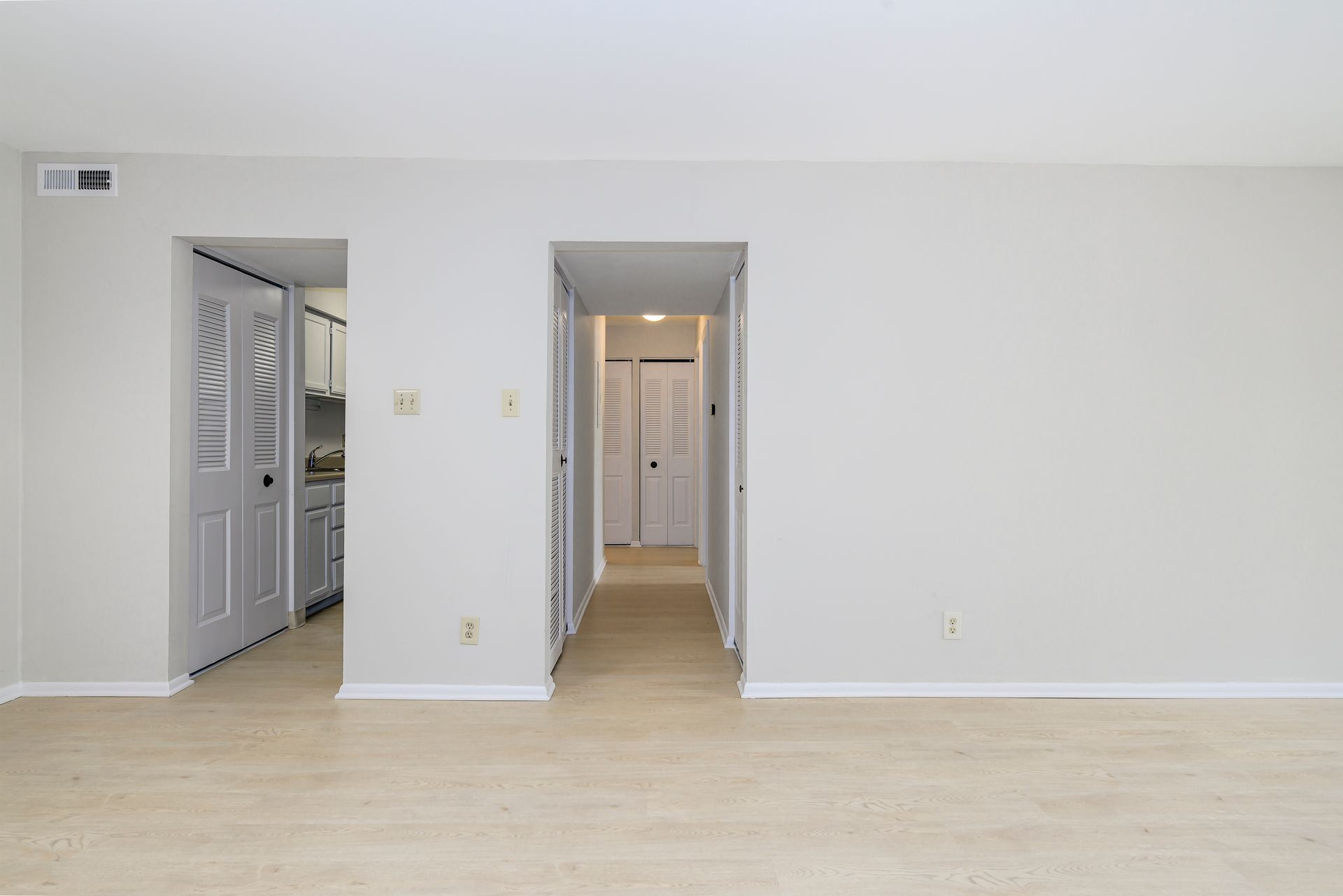Renovated Spacious Apartment