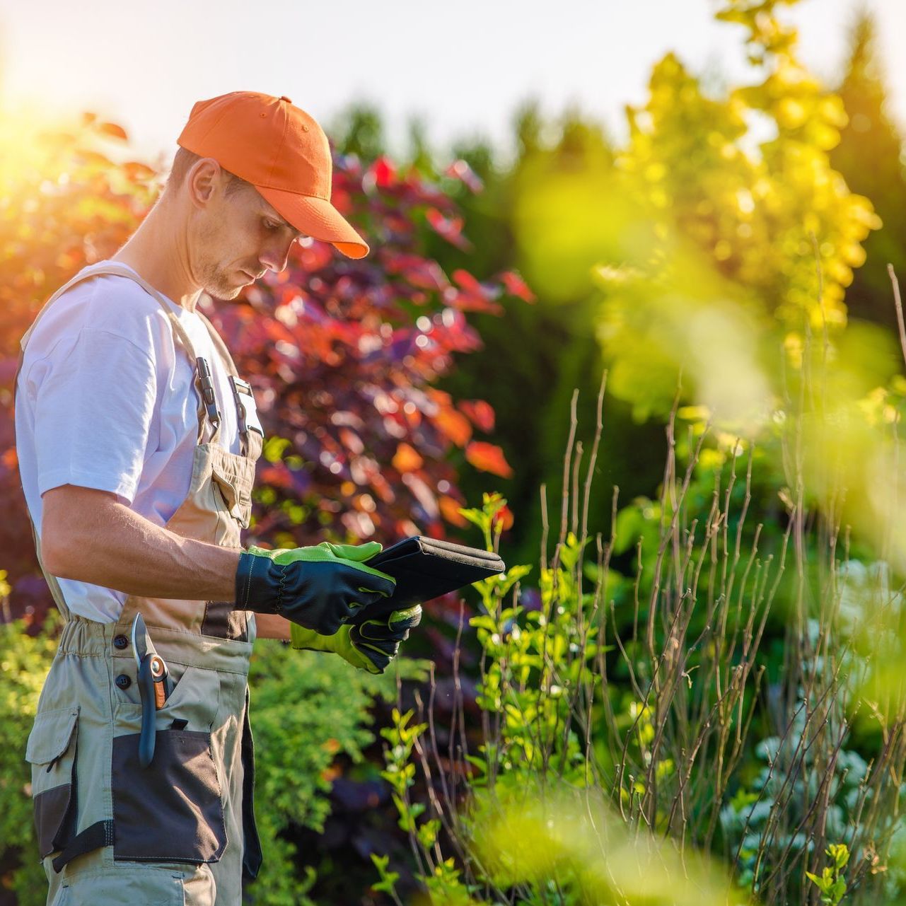 planting flowers