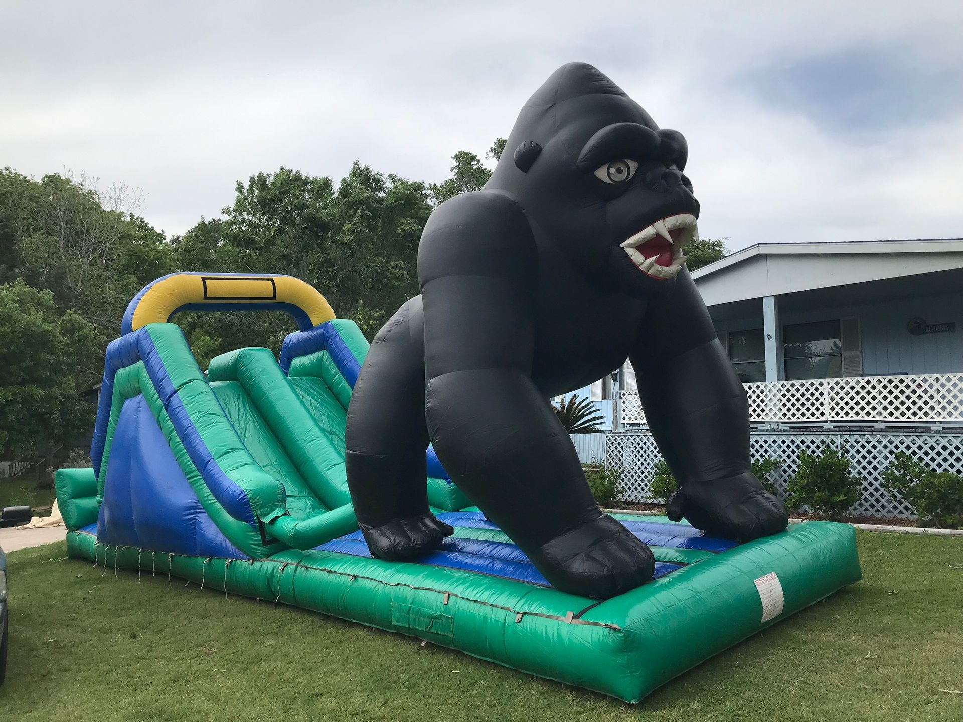 Slide - Kong