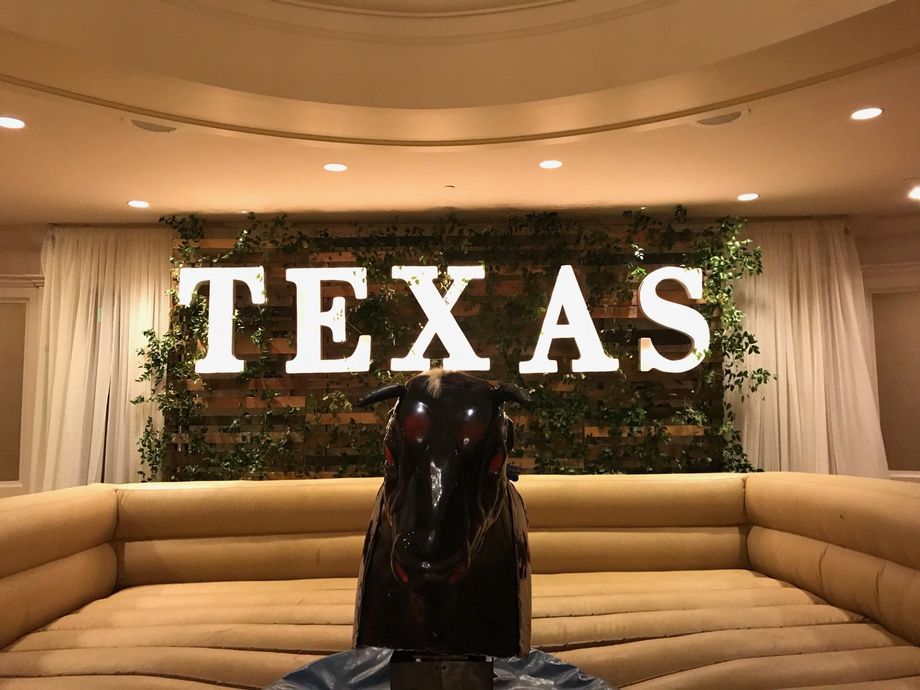 Mechanical Bull