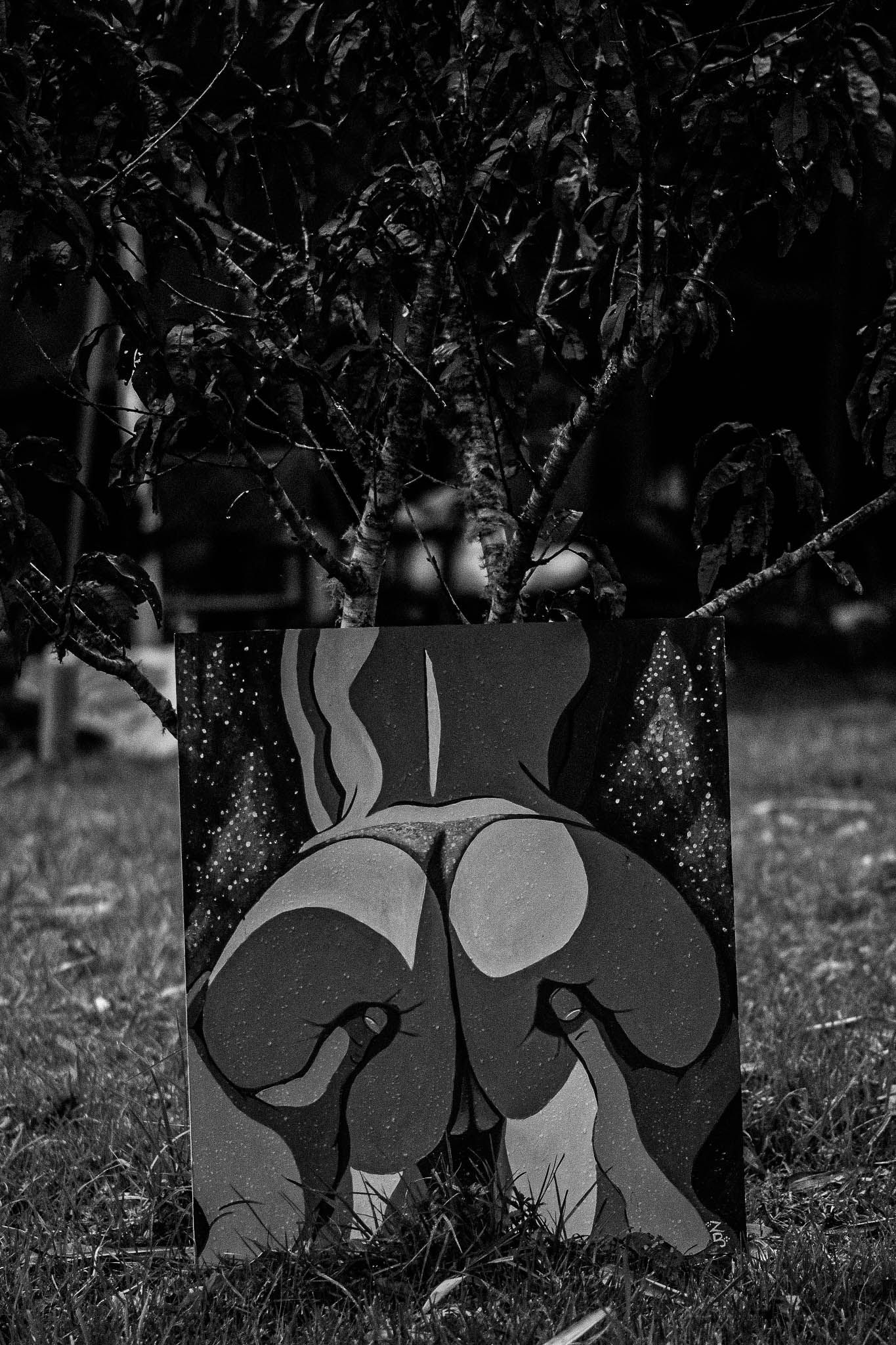 Naked In The Trees — A festival of curiosity in Taumarunui NZ