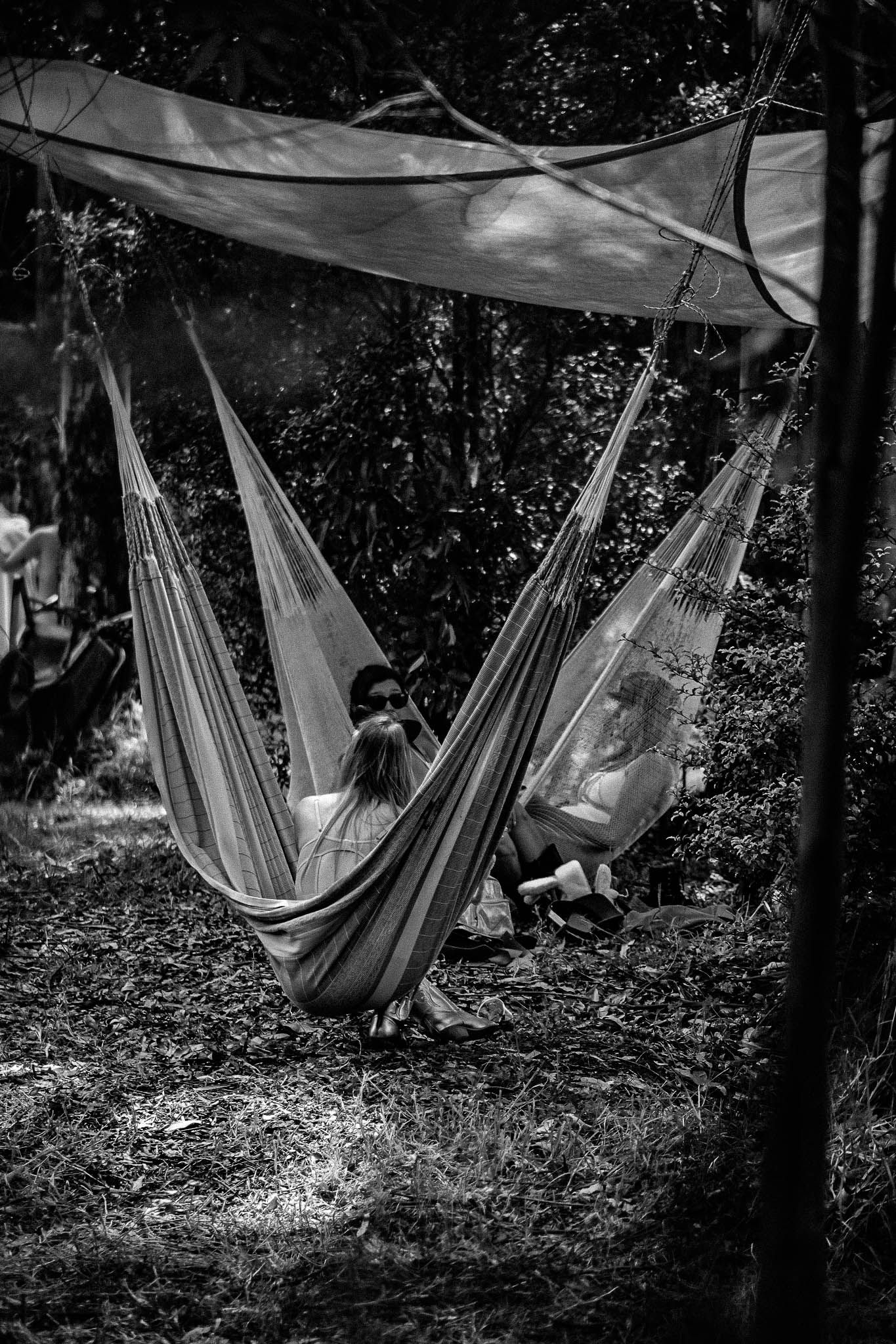 Naked In The Trees — A festival of curiosity in Taumarunui NZ