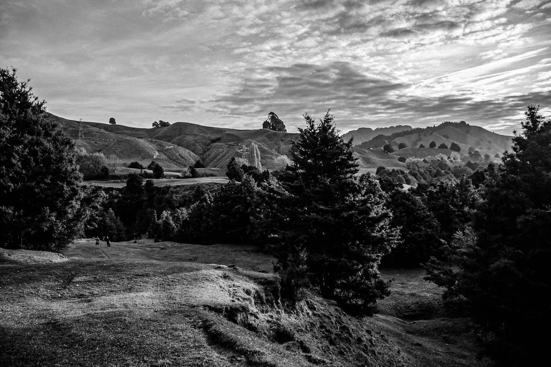 Naked In The Trees — A festival of curiosity in Taumarunui NZ