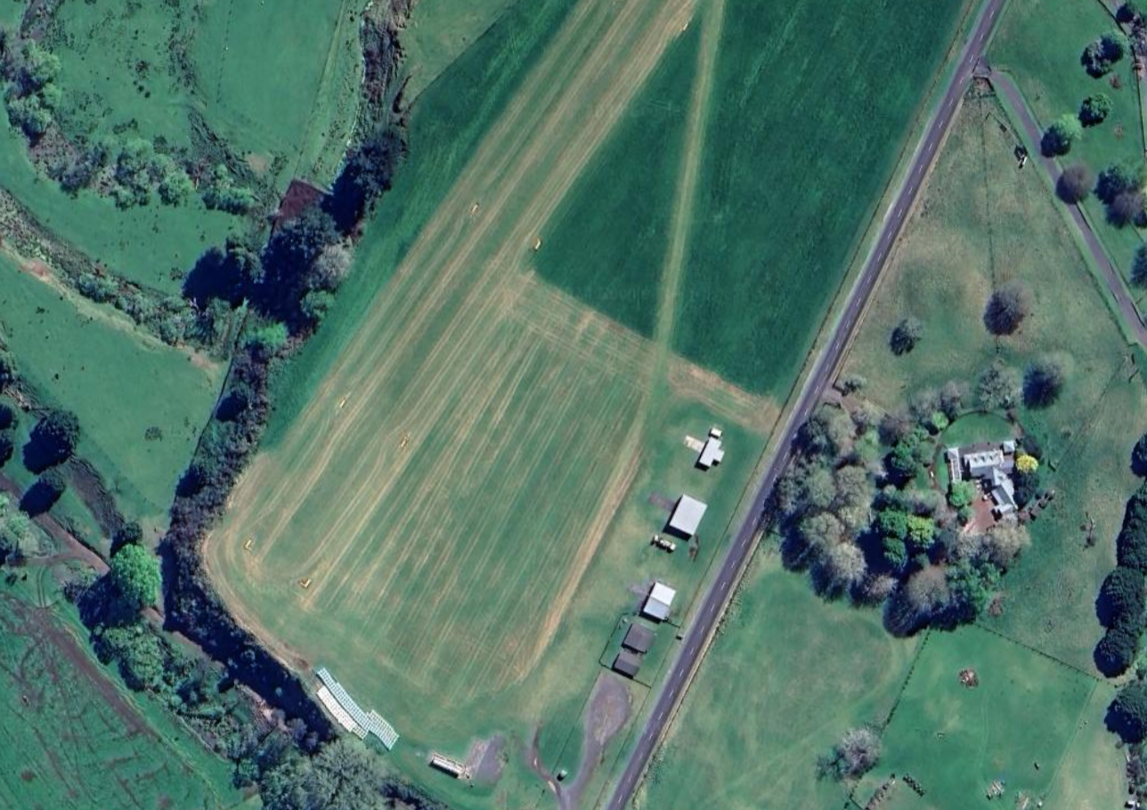 Naked In The Trees — A festival of curiosity in Taumarunui NZ