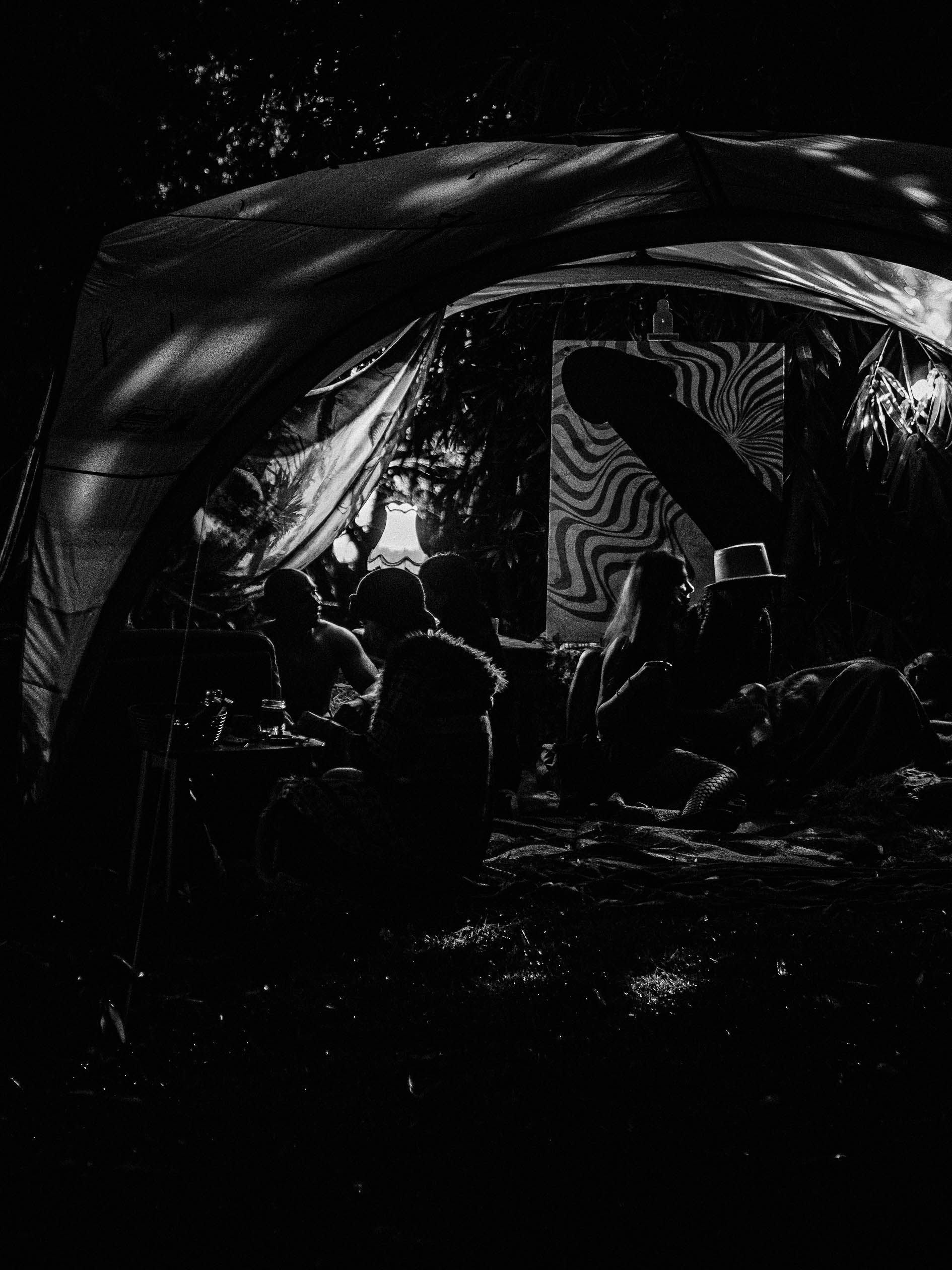 Naked In The Trees — A festival of curiosity in Taumarunui NZ