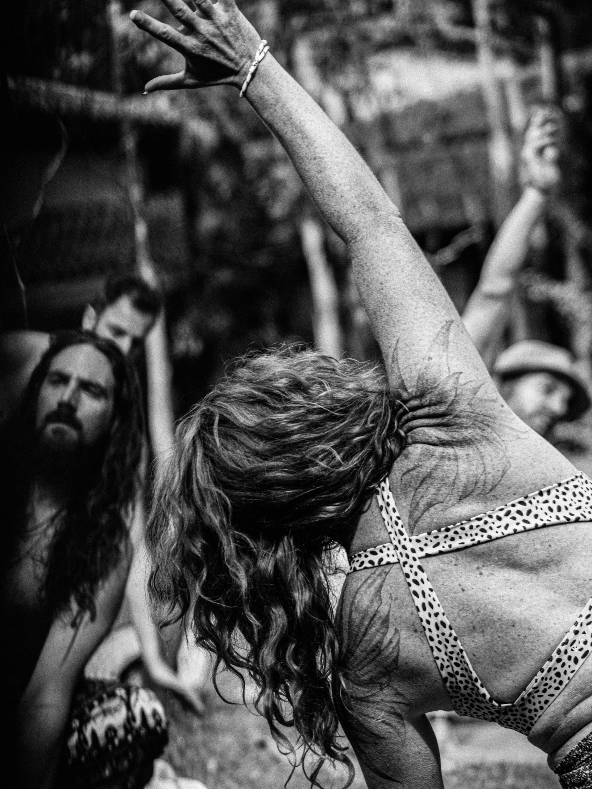 Naked In The Trees — A festival of curiosity in Taumarunui NZ