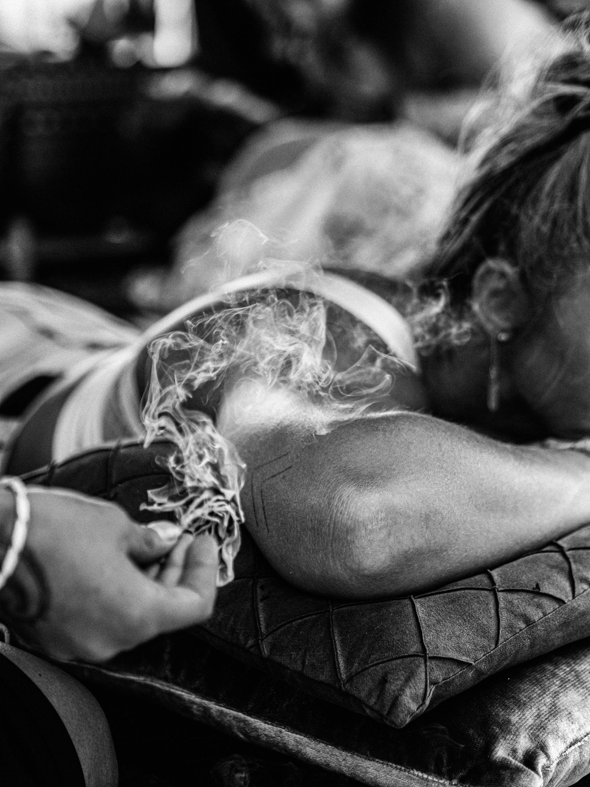 Naked In The Trees — A festival of curiosity in Taumarunui NZ