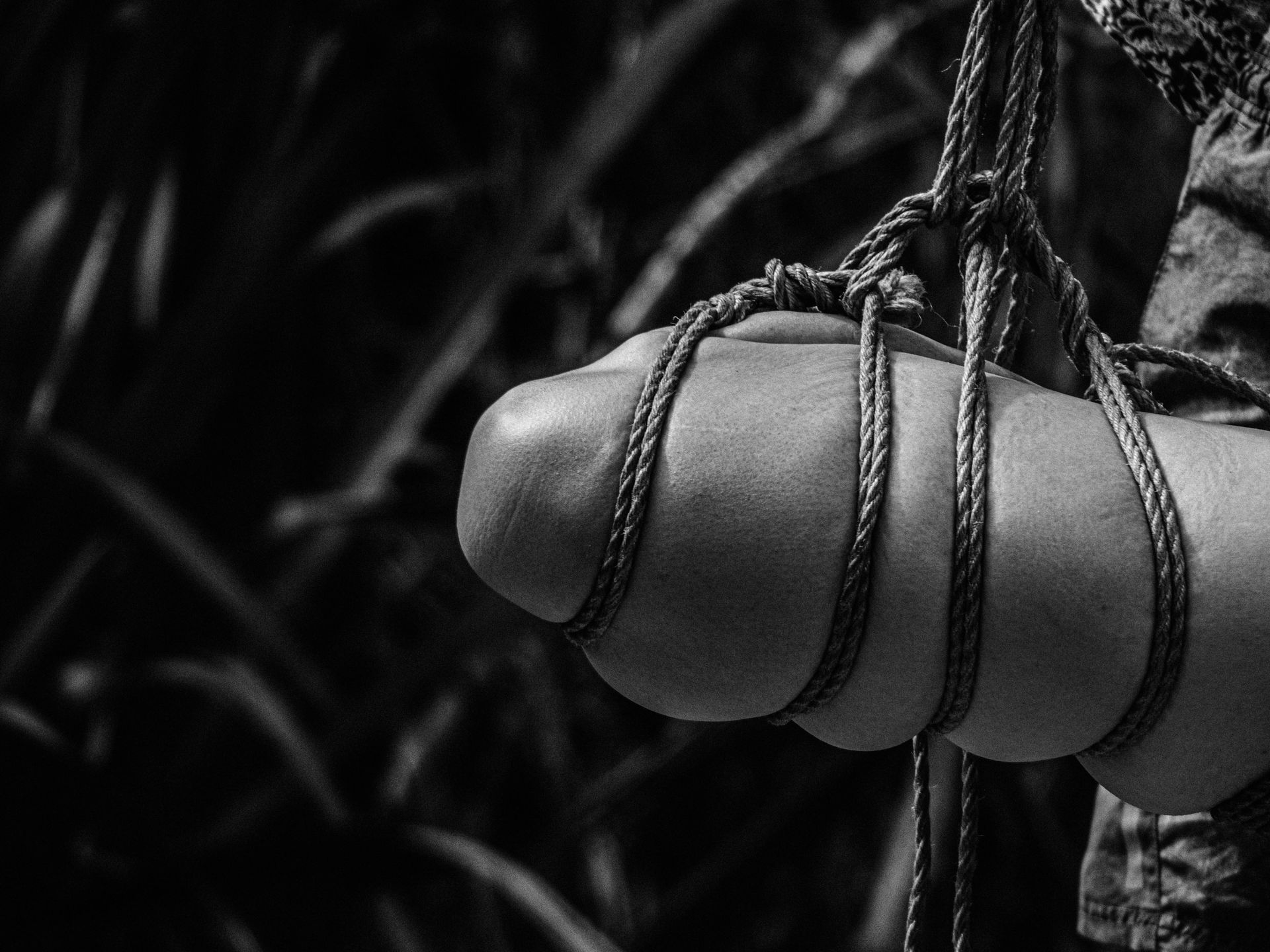 Naked In The Trees — A festival of curiosity in Taumarunui NZ