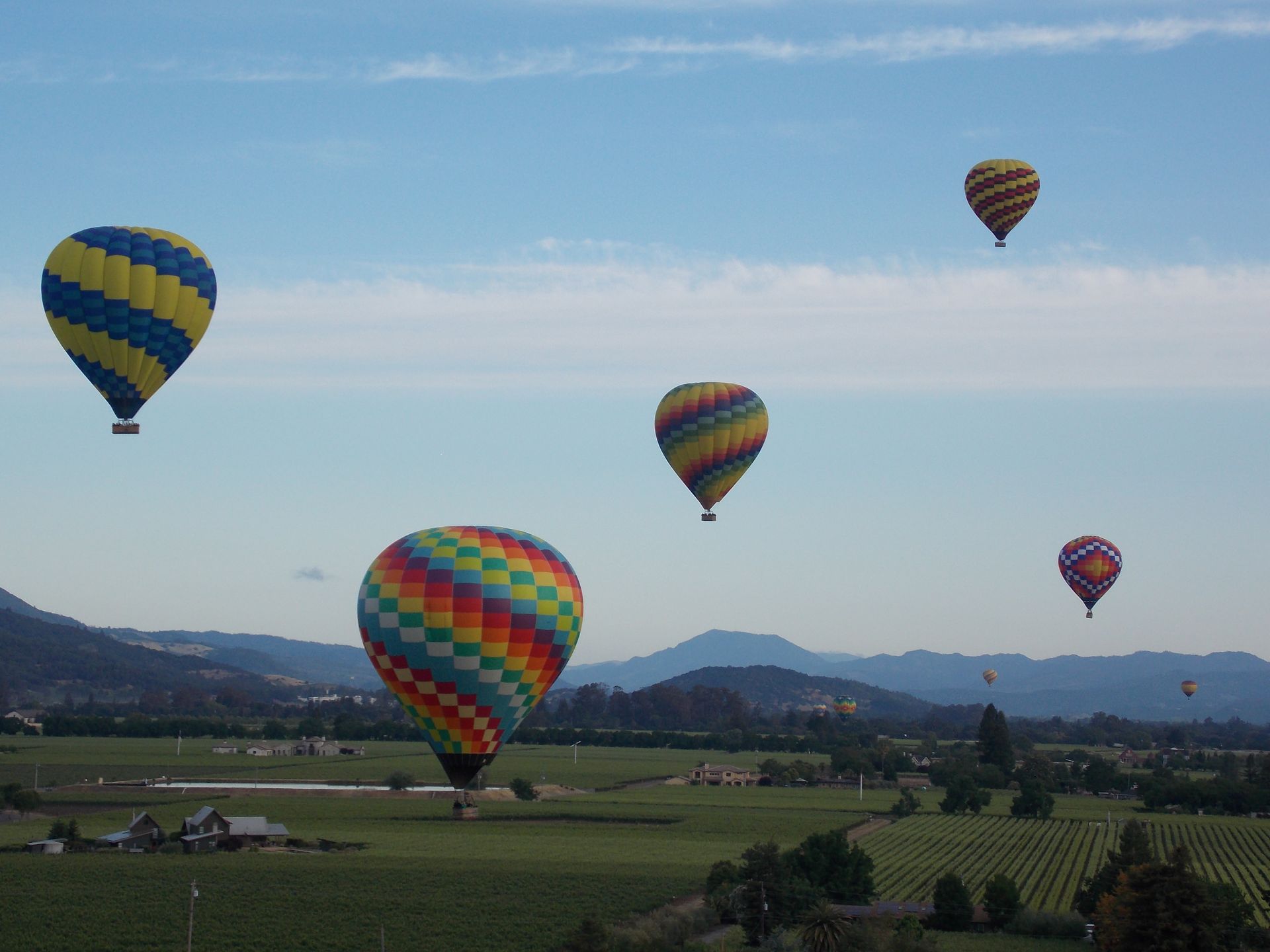 Five colorful hot air balloons floating over a green countryside under a clear blue sky