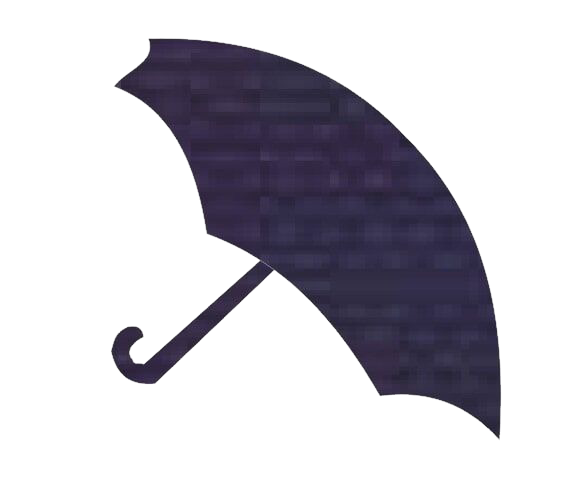 Sailors Navy