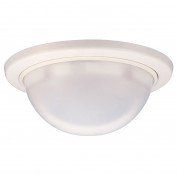 White, dome-shaped ceiling light fixture with a frosted, rounded lens.