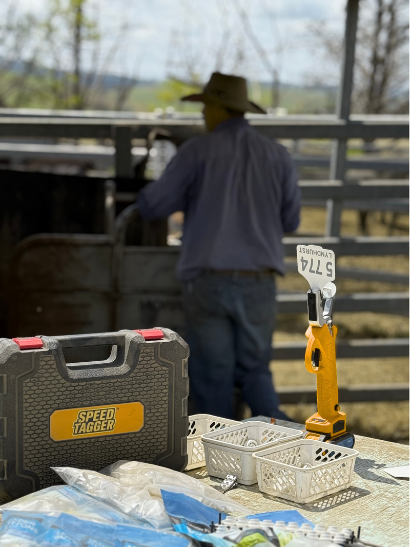 Morrissey & Co are suppliers of the Speed Tagger
