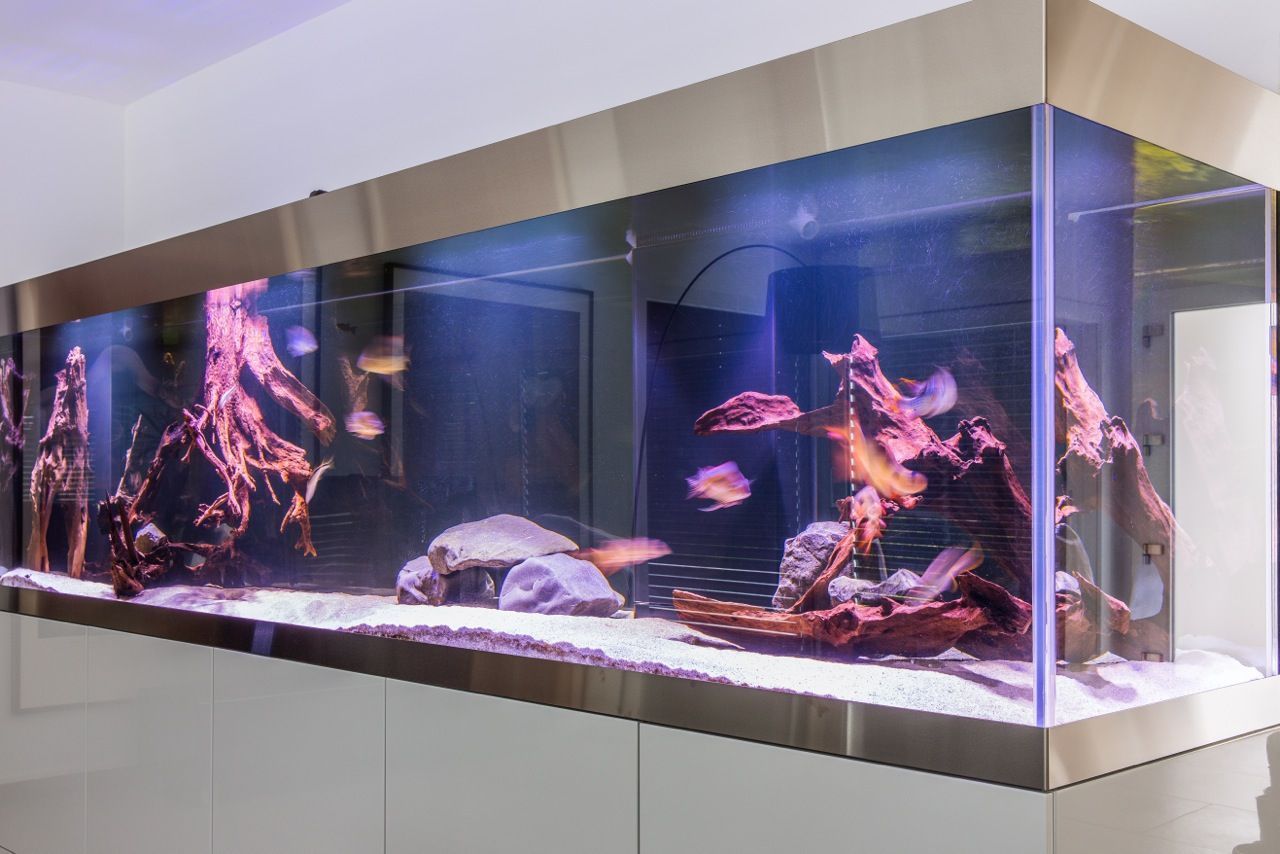 Grand aquarium rectangulaire, finitions en acier inoxydable, avec poissons, bois flotté et roches sur un meuble blanc.