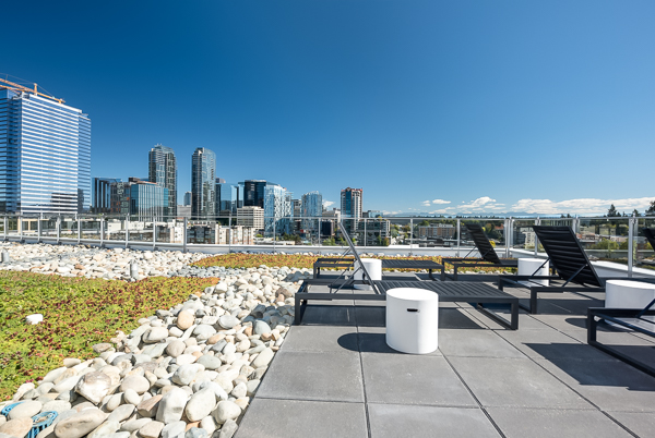 Photo of the rooftop lounch with rocks, reclining chairs and the skyline nearby