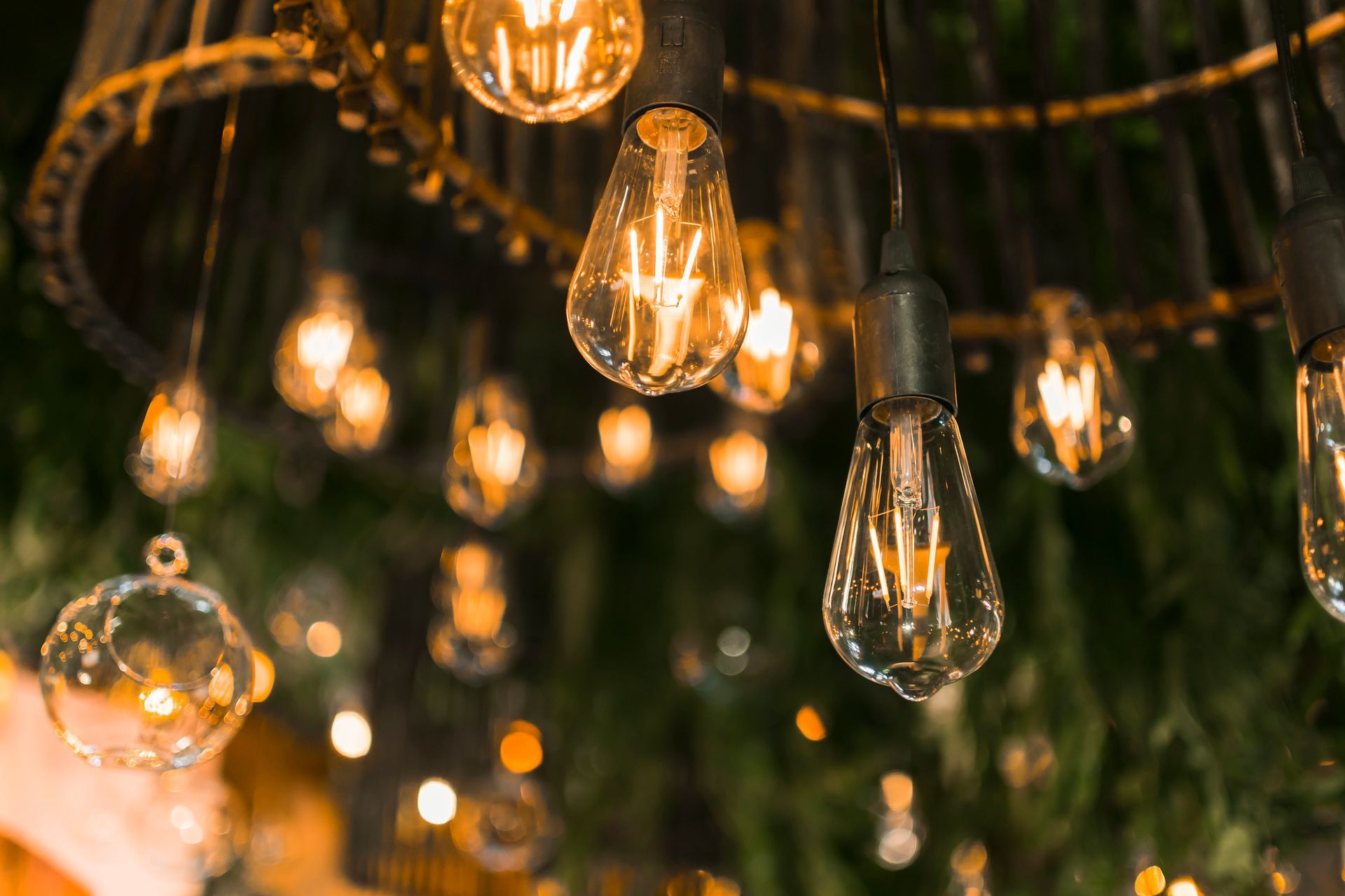 A string of light bulbs hanging from the ceiling.