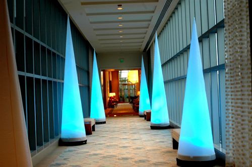 A hallway with a lot of christmas trees in it