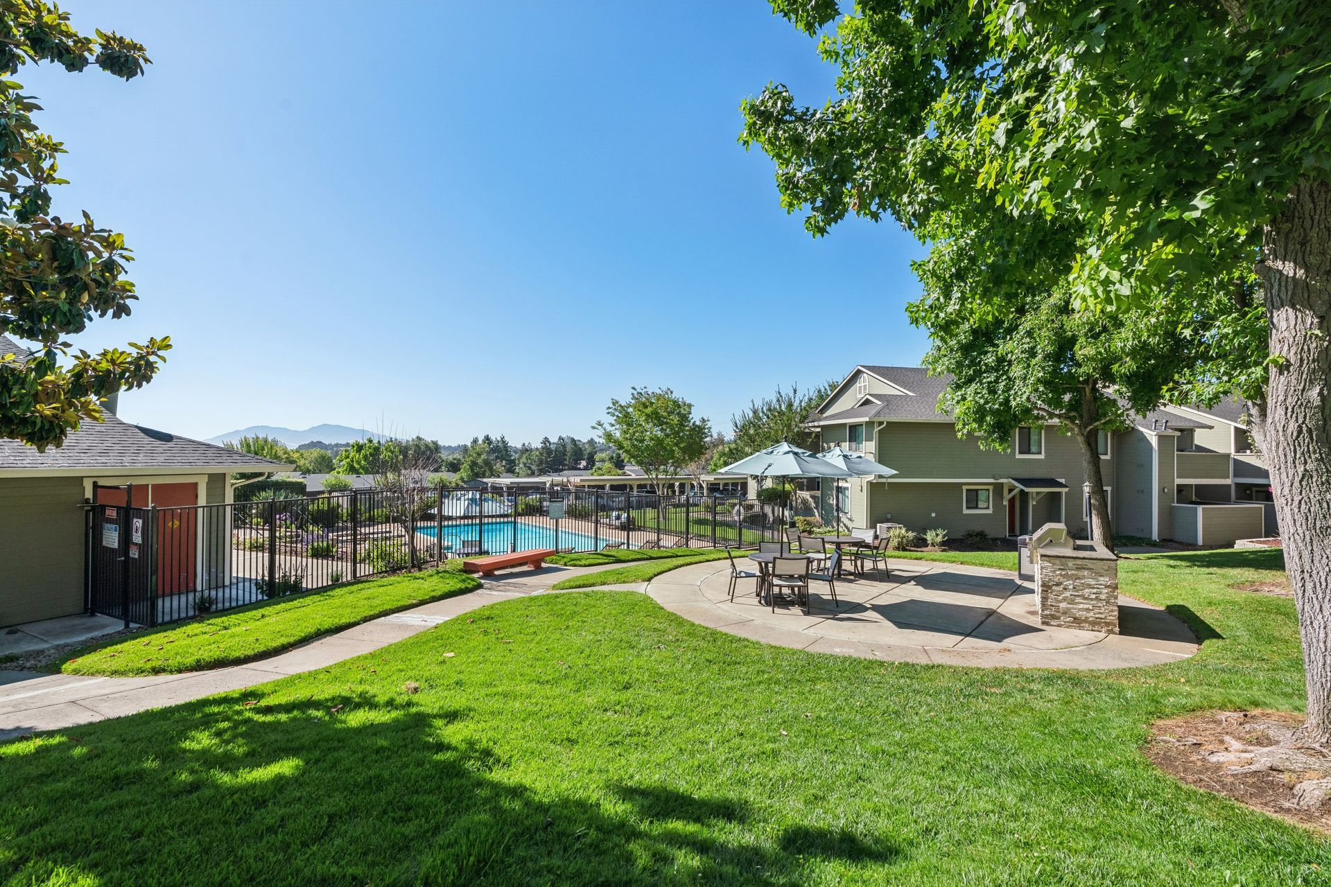 Apartment courtyard with green lawn, pool, lounge chairs, and a large tree under a bright blue sky