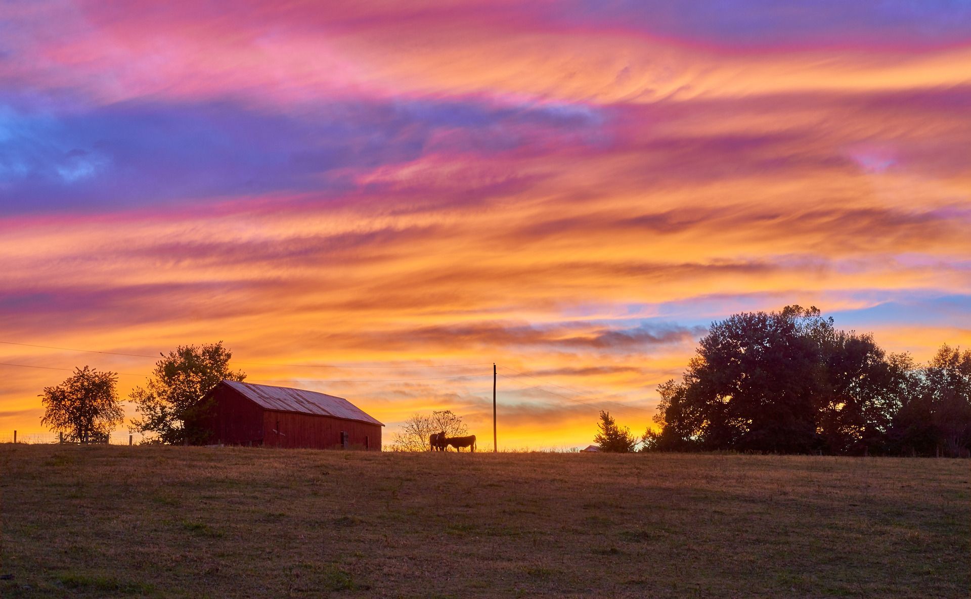 Sunset over a rural field with a red barn, silhouetted trees, and a vivid pink-orange sky