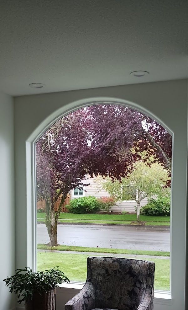 A living room with a chair and a large window with a view of a tree.
