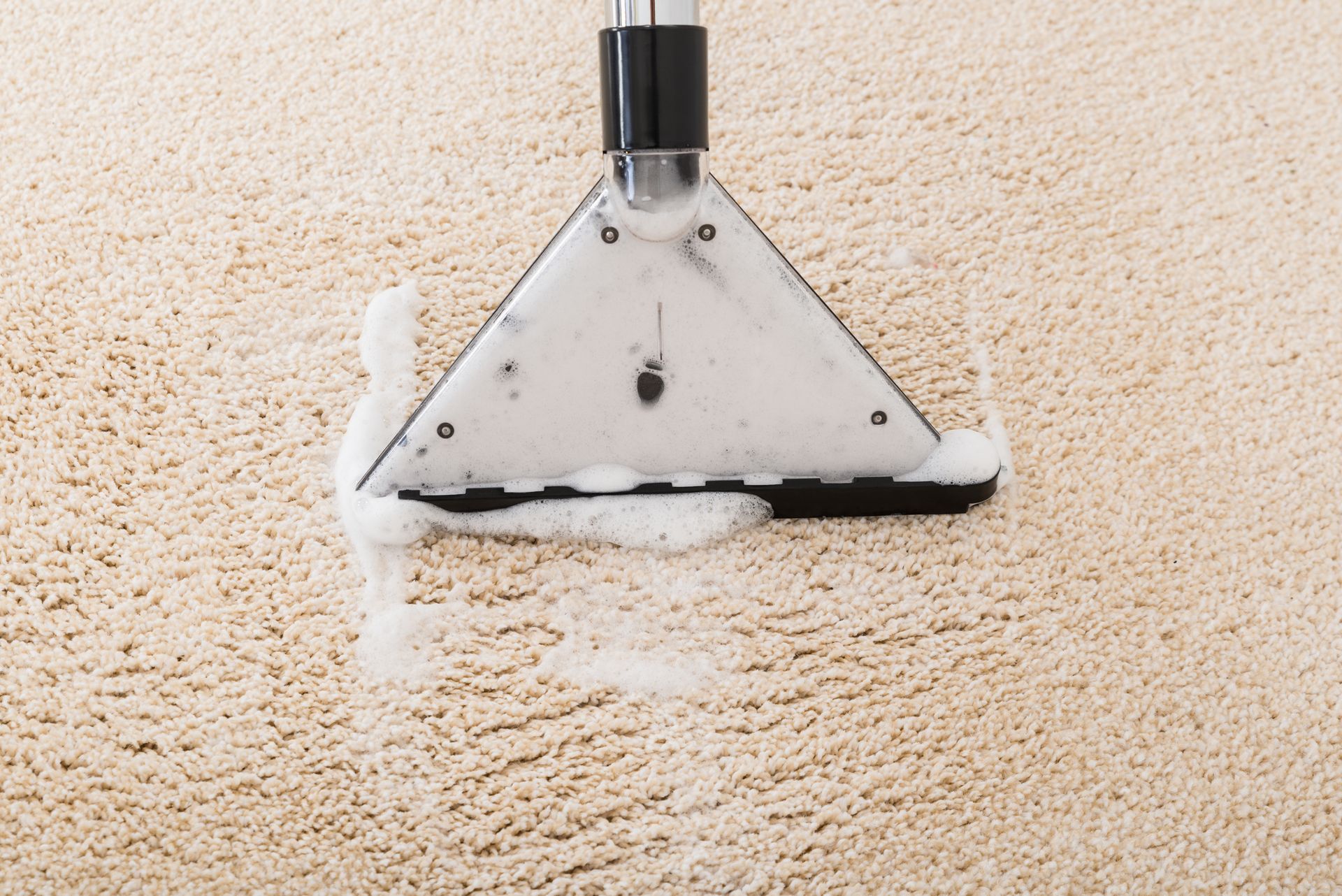 About Advantage Carpet Care And Disaster Services About Advantage Carpet Care And Disaster Services