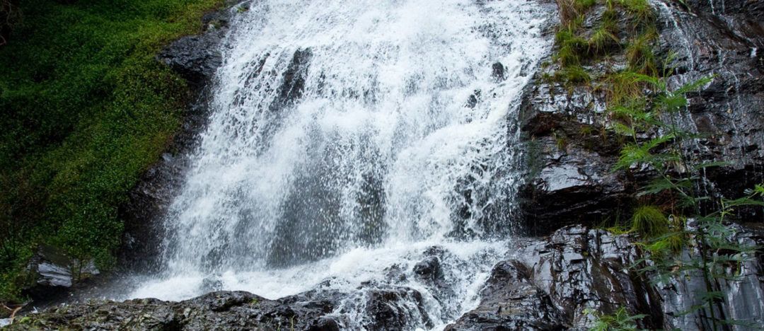 A waterfall is surrounded by trees and rocks in the middle of a forest.