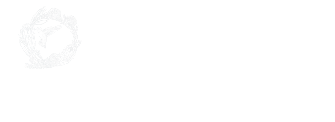 A white background with a few lines on it