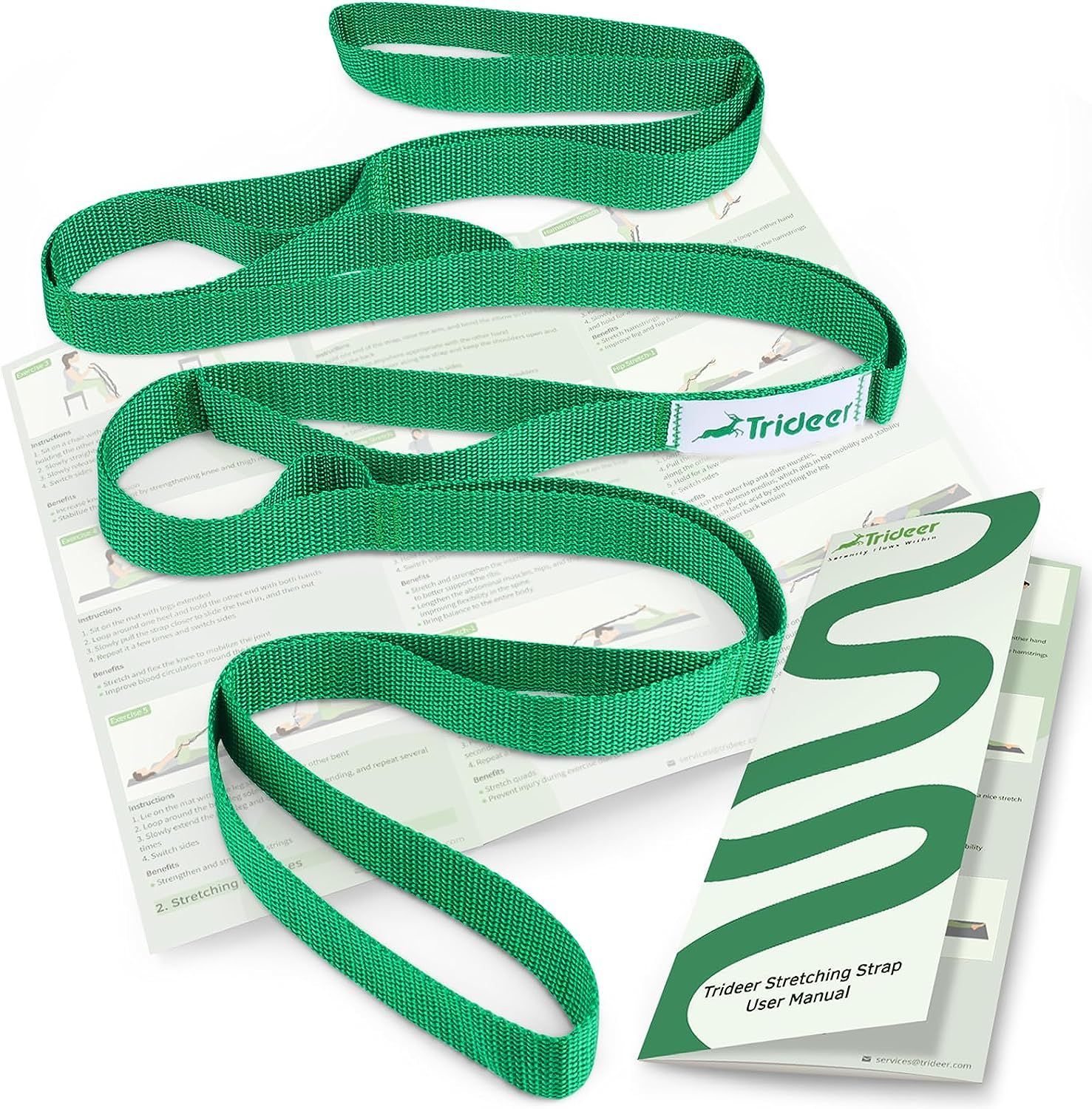 A green leash is laying on top of a brochure