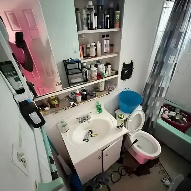 Bathroom Cleanup and Junk Removal Service