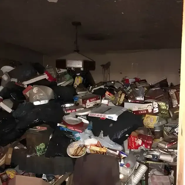 Hoarding Cleanup and Large-Scale Junk Removal Service